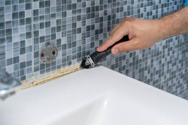 Best DIY Mold Remediation Support Services in Manitou Beach Devils Lake, MI